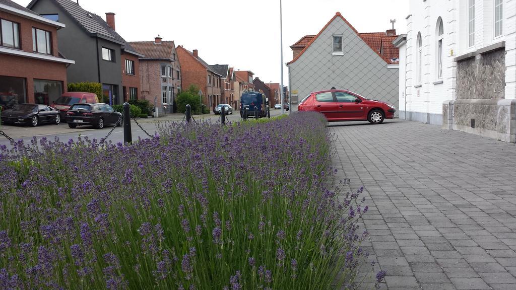 B&B Kasteel De Windt Nieuwkerken-Waas Eksteriør bilde